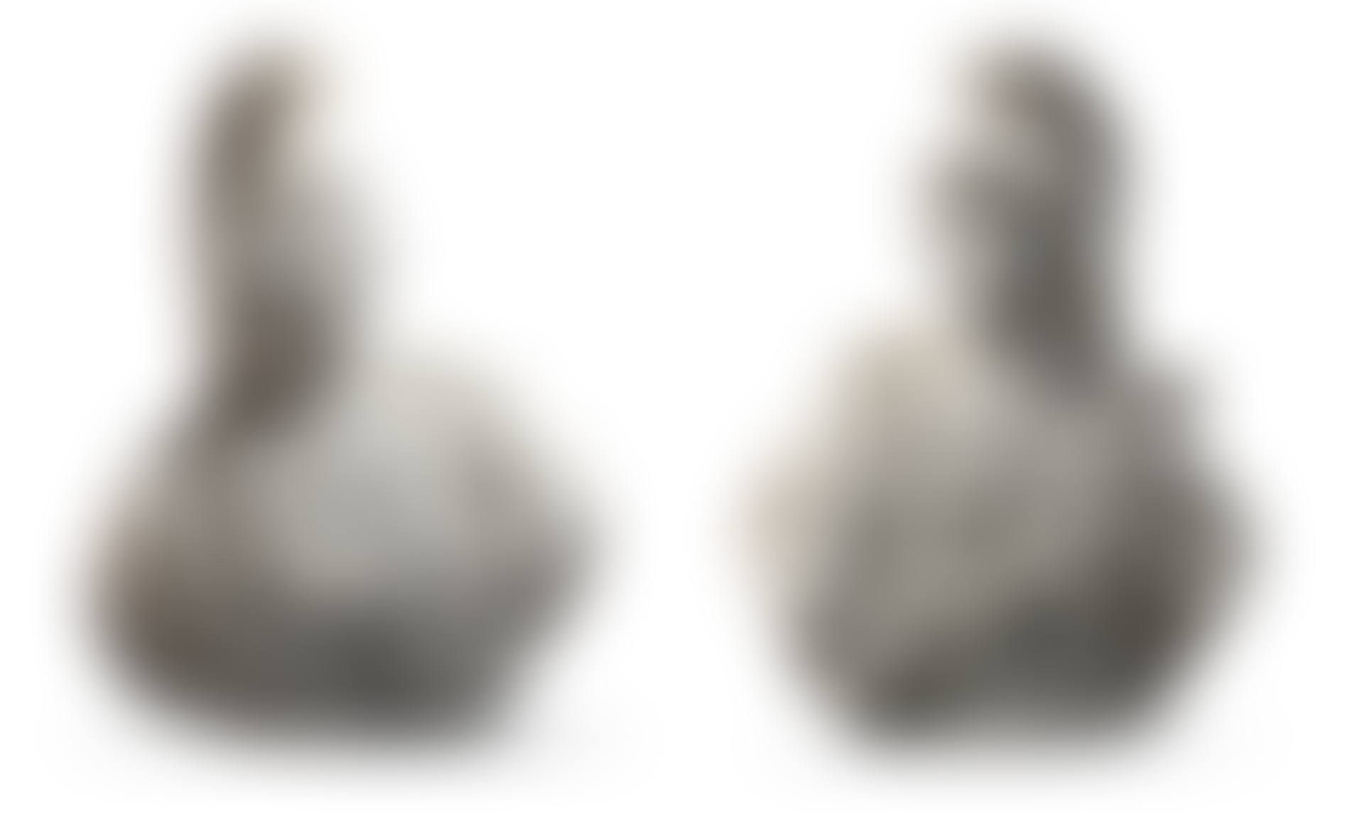 Monumental busts of Mars and Venus (preview)