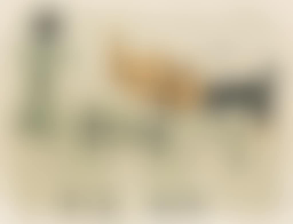 Untitled (Woman with Two Donkeys) (preview)