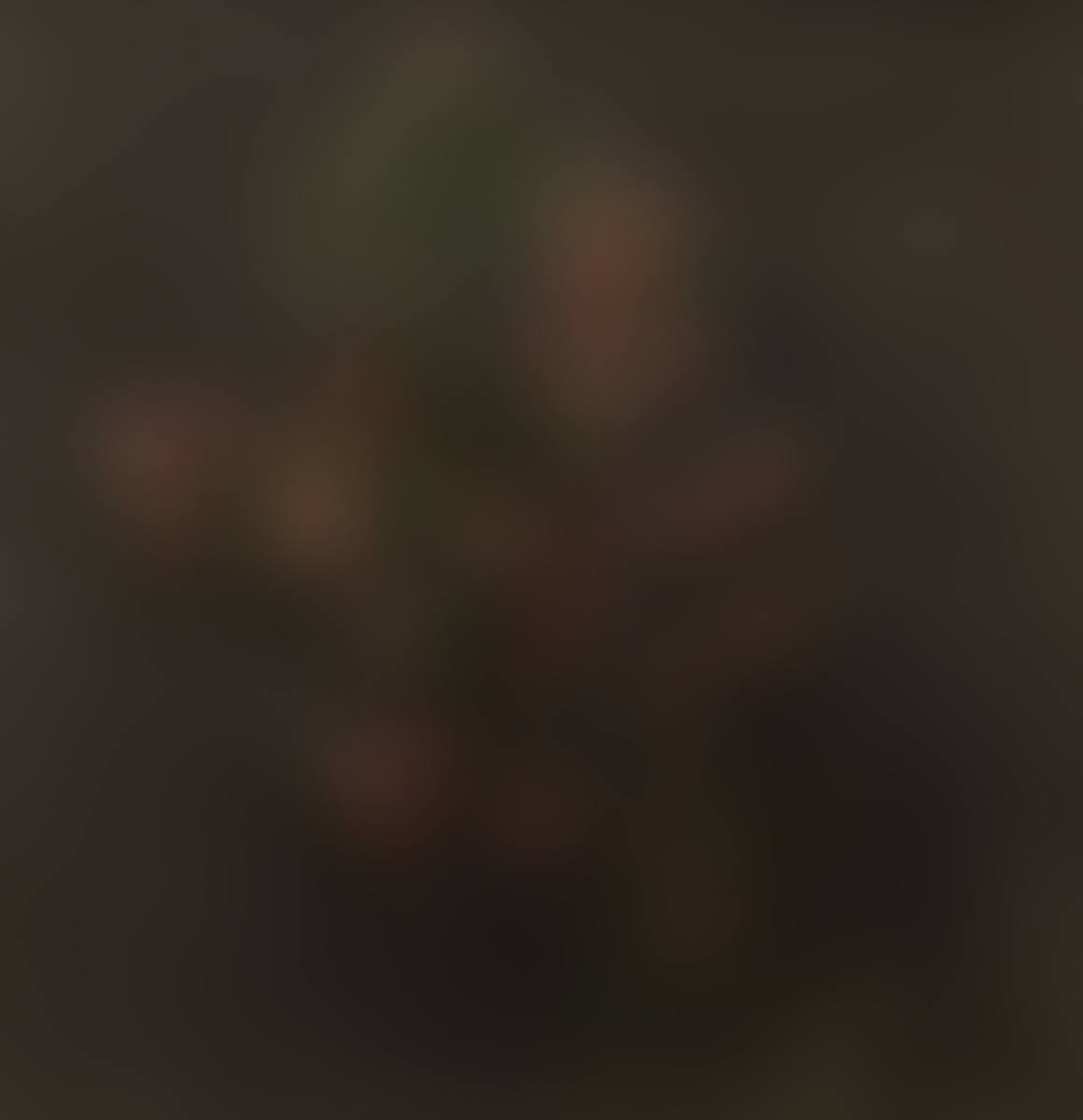 16; “Aubepines Roses,” (preview)