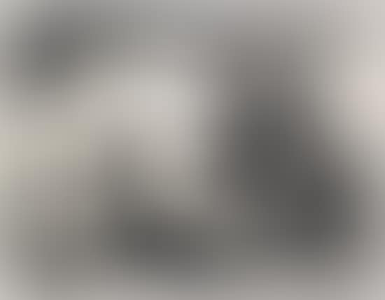 Prodigal Son (preview)