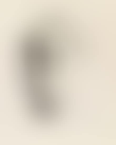 Kleines Selbstbildnis nach Links (preview)