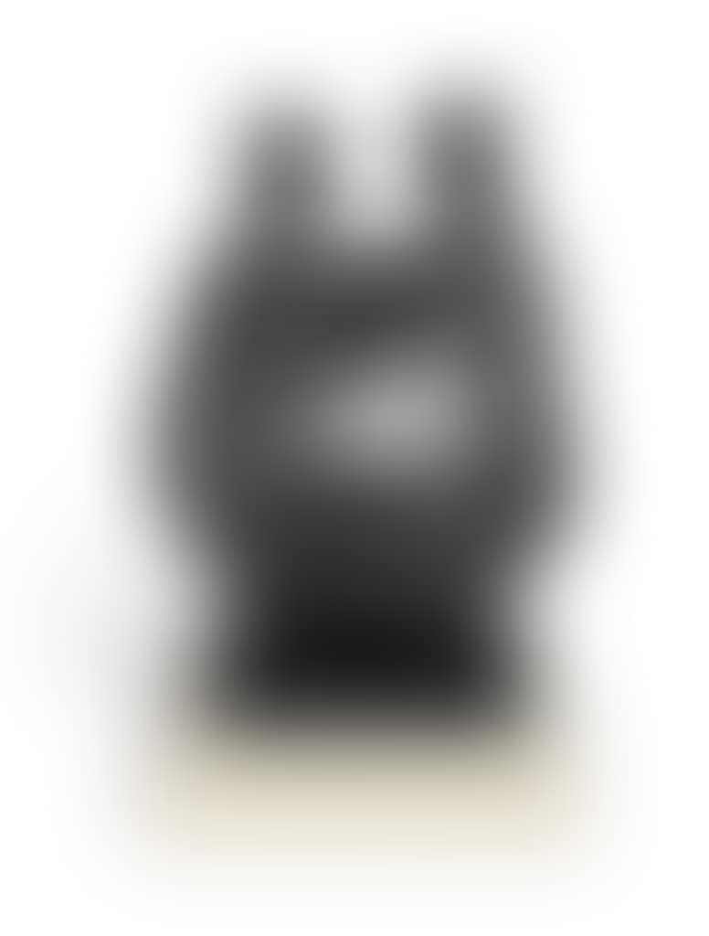 Recognition (preview)