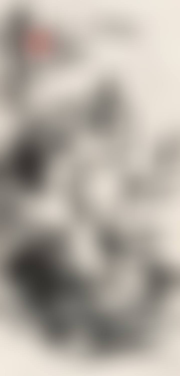 A CAT (preview)