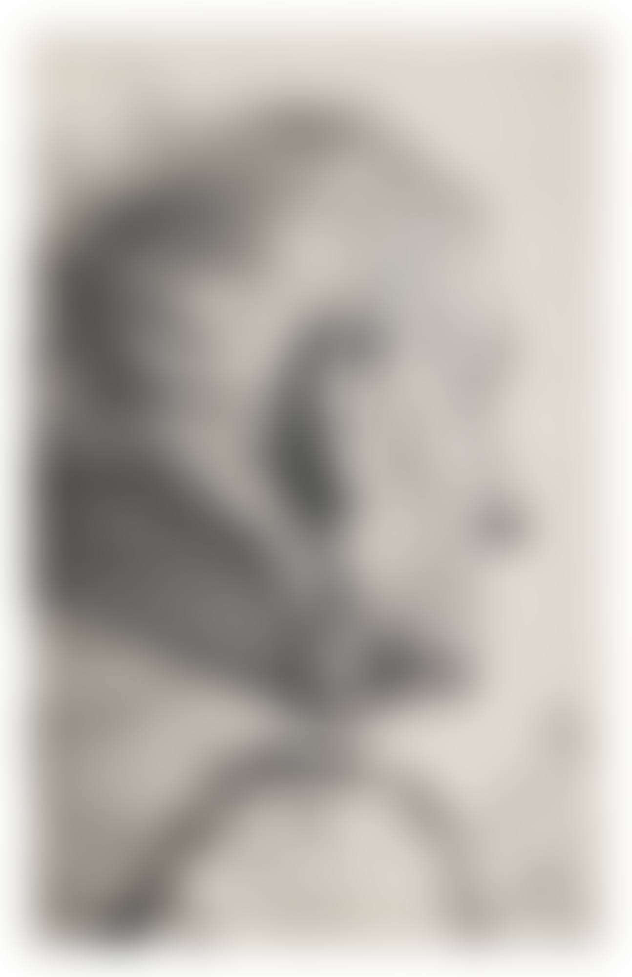 An Old Man with His Head Turned Away (preview)