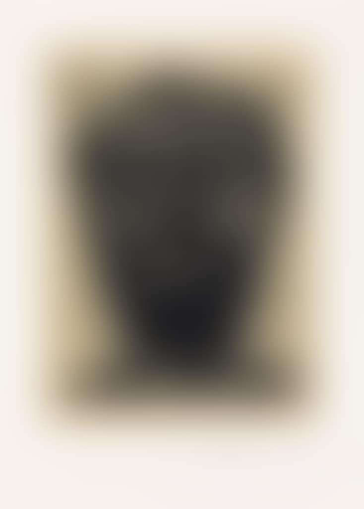 Self Portrait (preview)