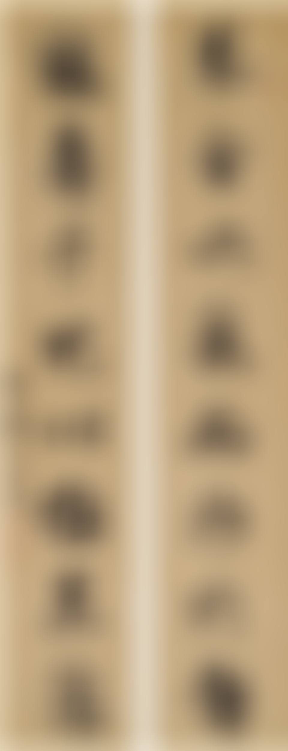 EIGHT-CHARACTER COUPLET IN RUNNING SCRIPT (preview)