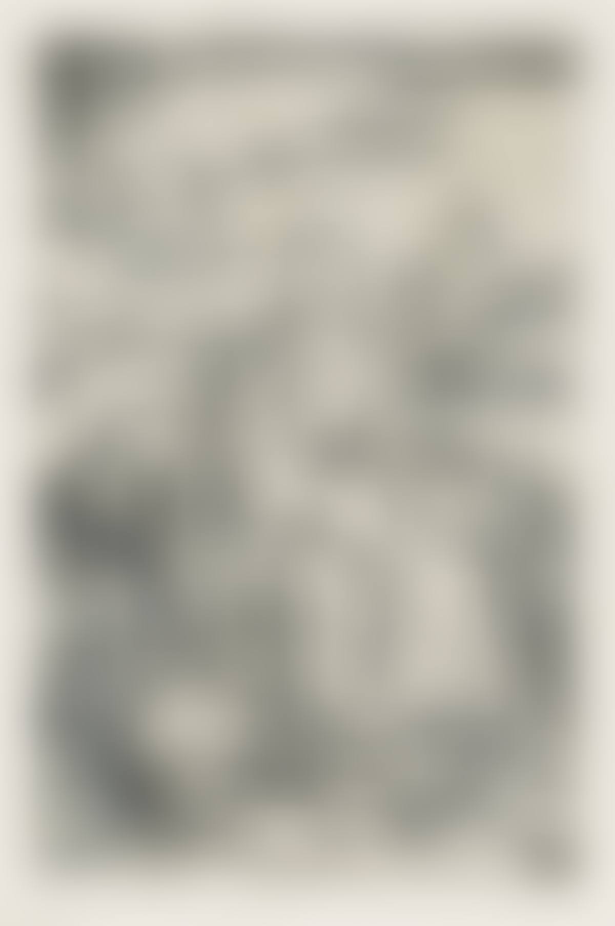 Virgin and Child with the Monkey (preview)