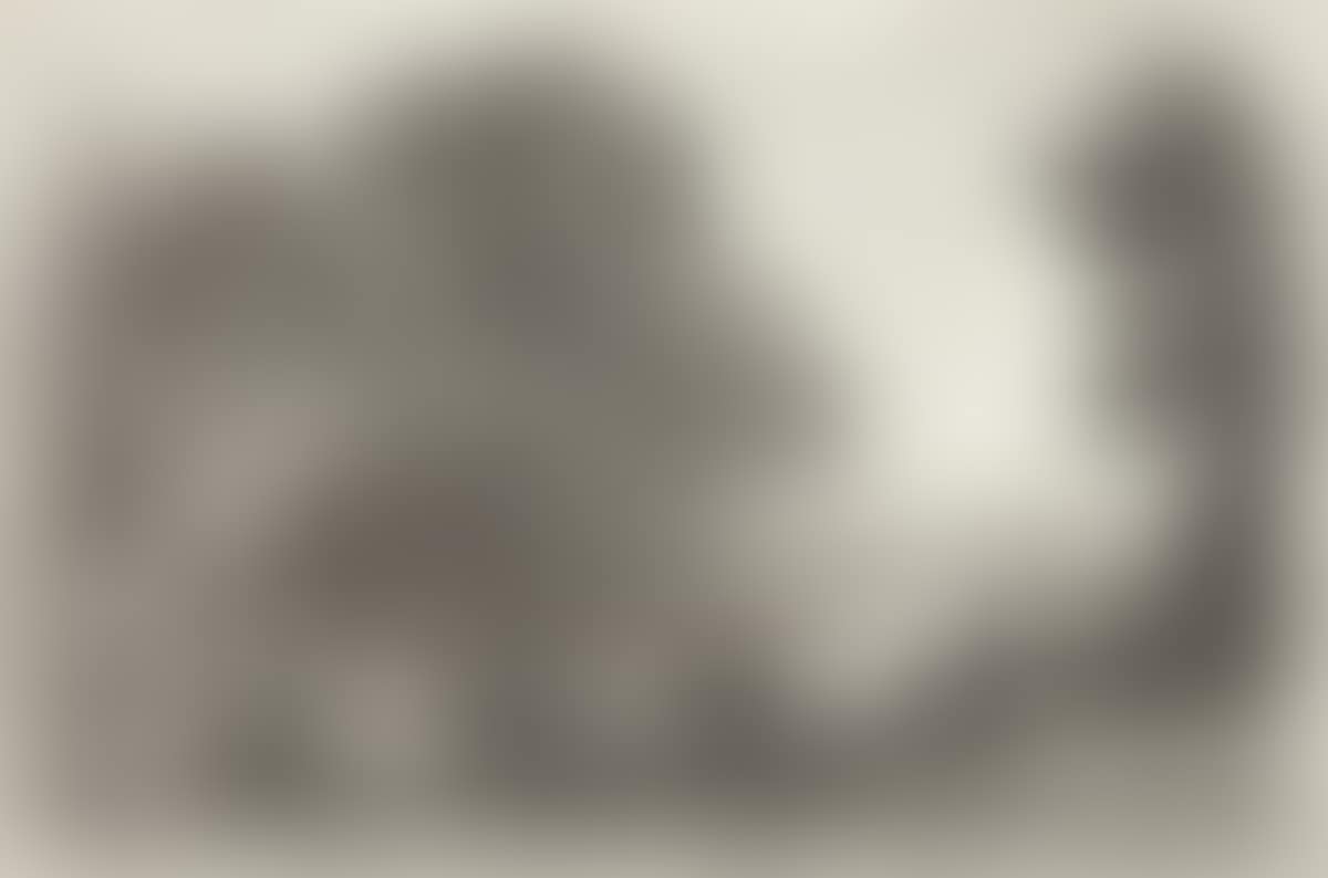 Le Bouvier (preview)