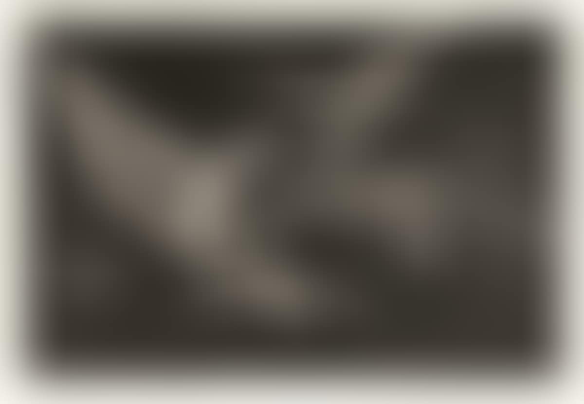 Modo de Volar (preview)