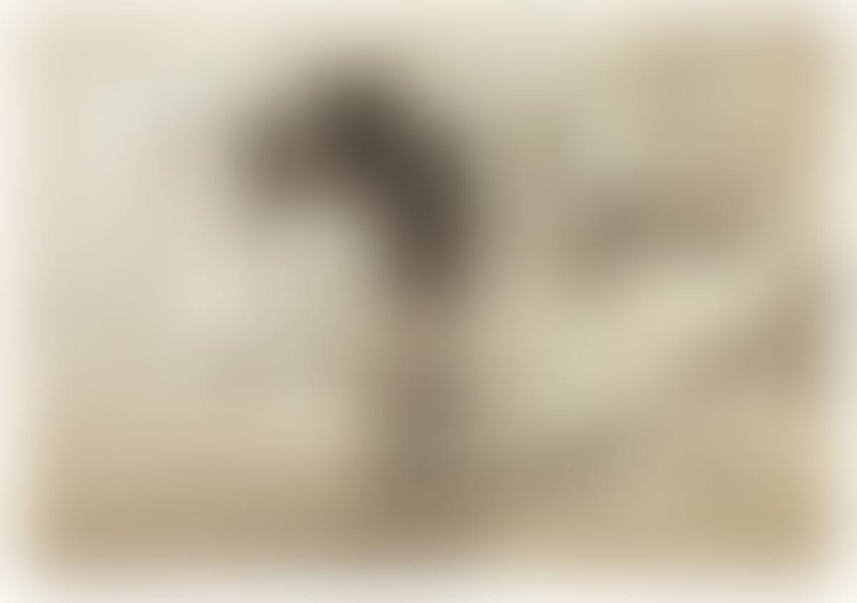 San Biagio (preview)