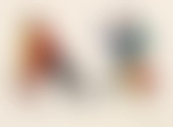 Sabot et Bonnett Phrygien (preview)