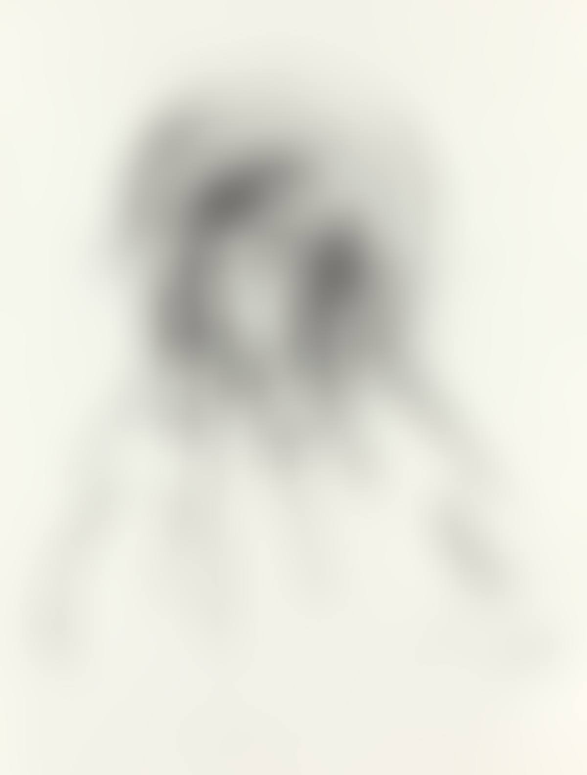Sara Wearing her Bonnet and Coat (preview)