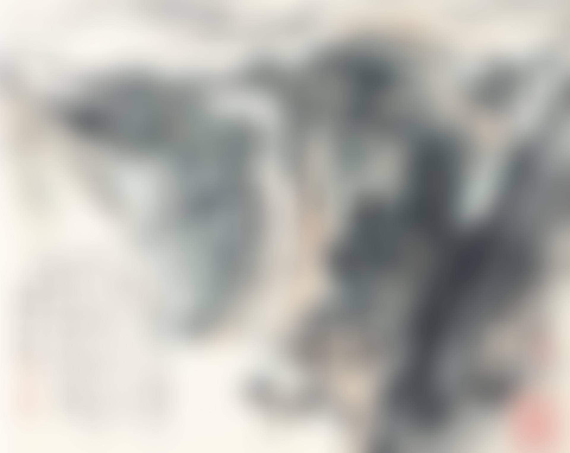 PEAK OF MOUNT YANDANG (preview)