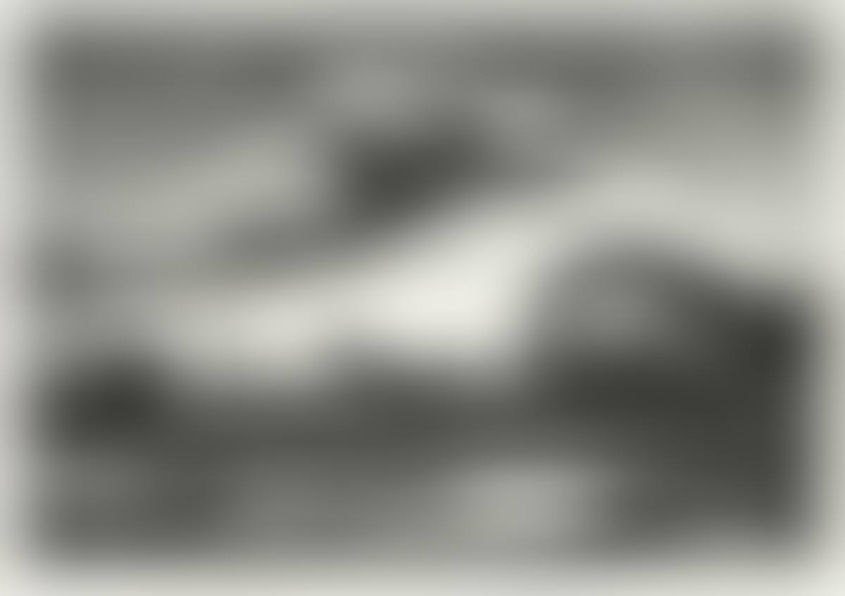 The Race (preview)