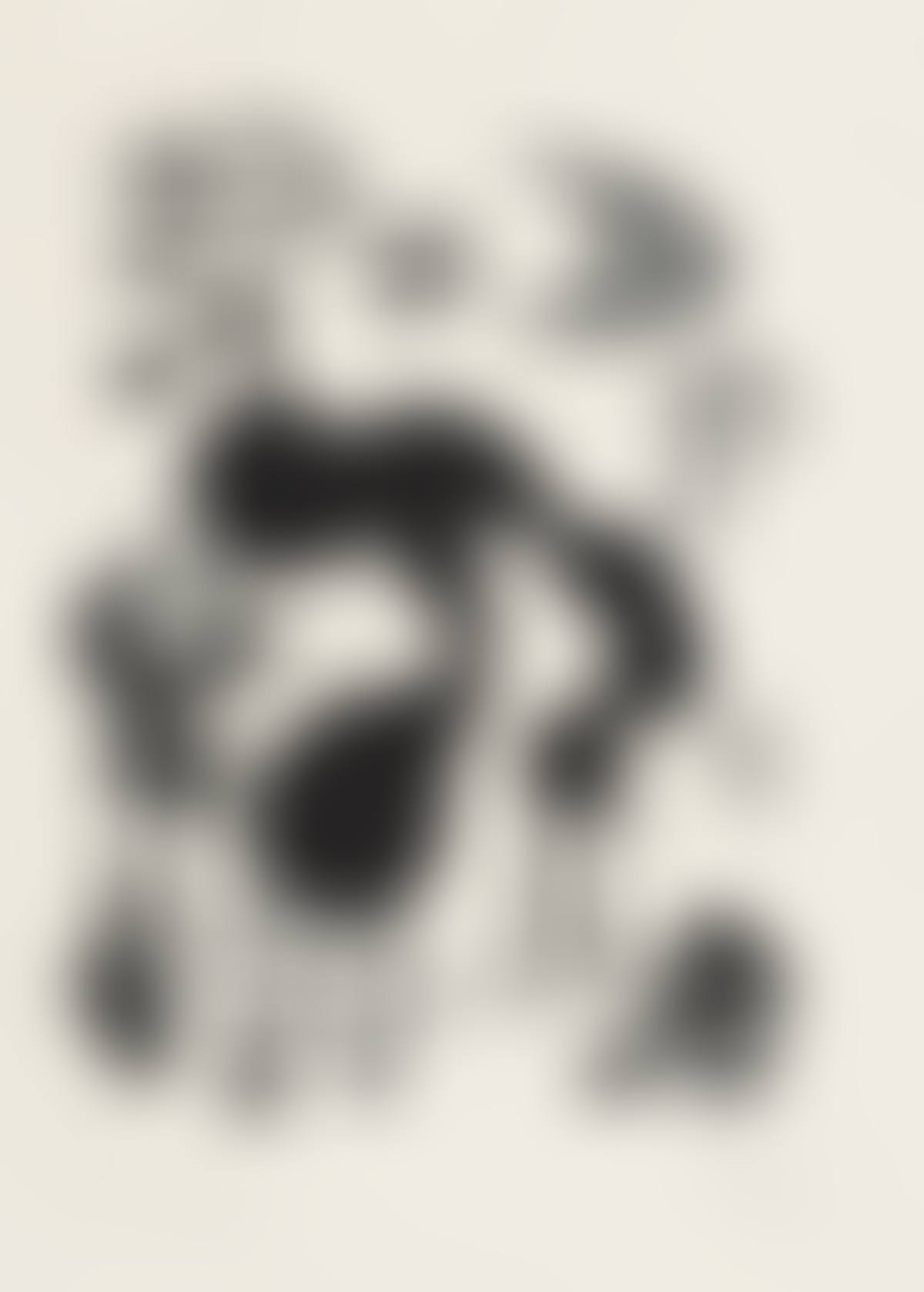 Album 13 (preview)