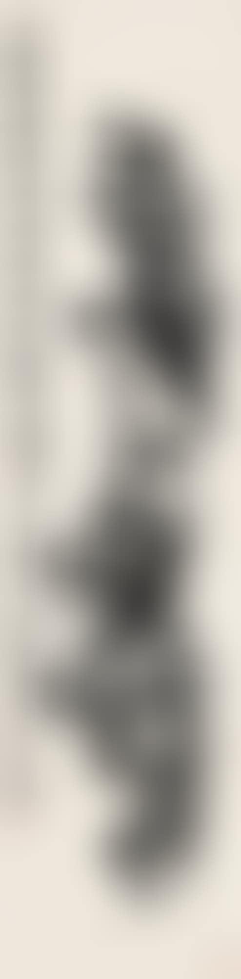 SCHOLAR"S ROCK (preview)