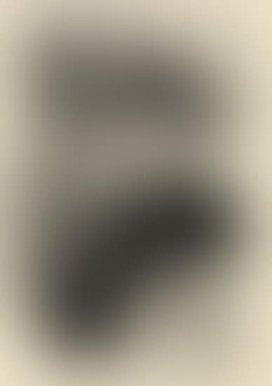 Une Spectatrice (preview)