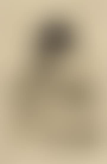 Self Portrait (preview)