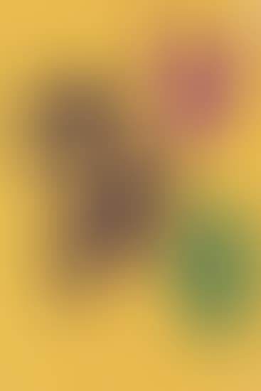 Documents Geigy (preview)