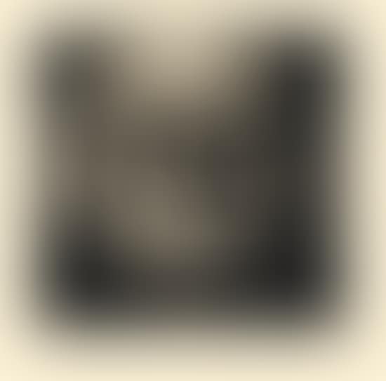 Selbstbildnis von vorn (preview)