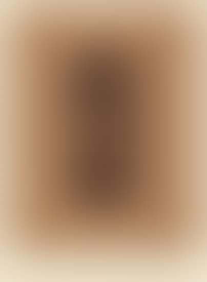 Femme nue assise (preview)