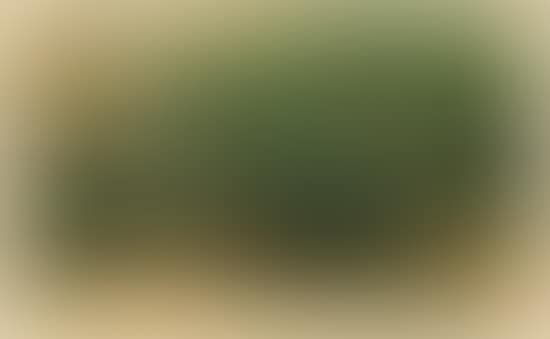 Composition en vert (preview)