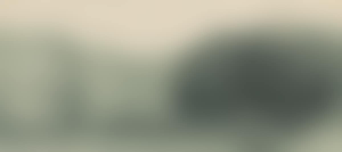 Park ii (preview)