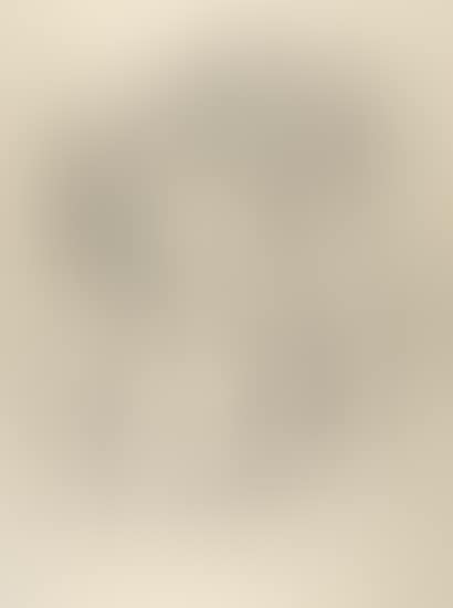 Female Nudes (preview)