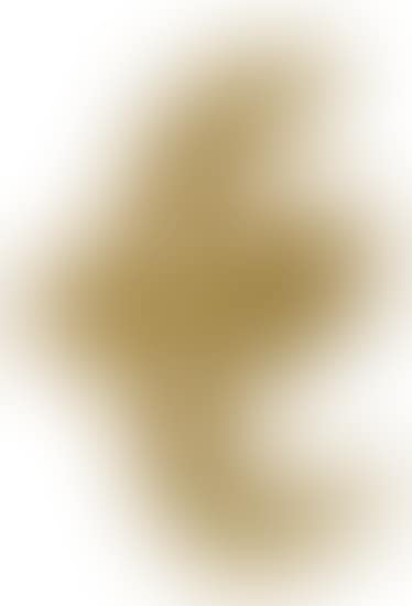 Oiseau (preview)
