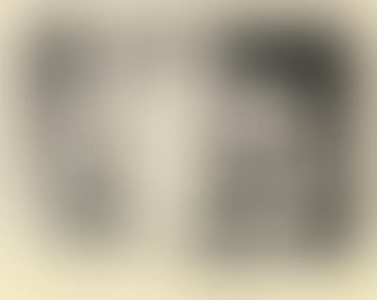 Album 13 (preview)