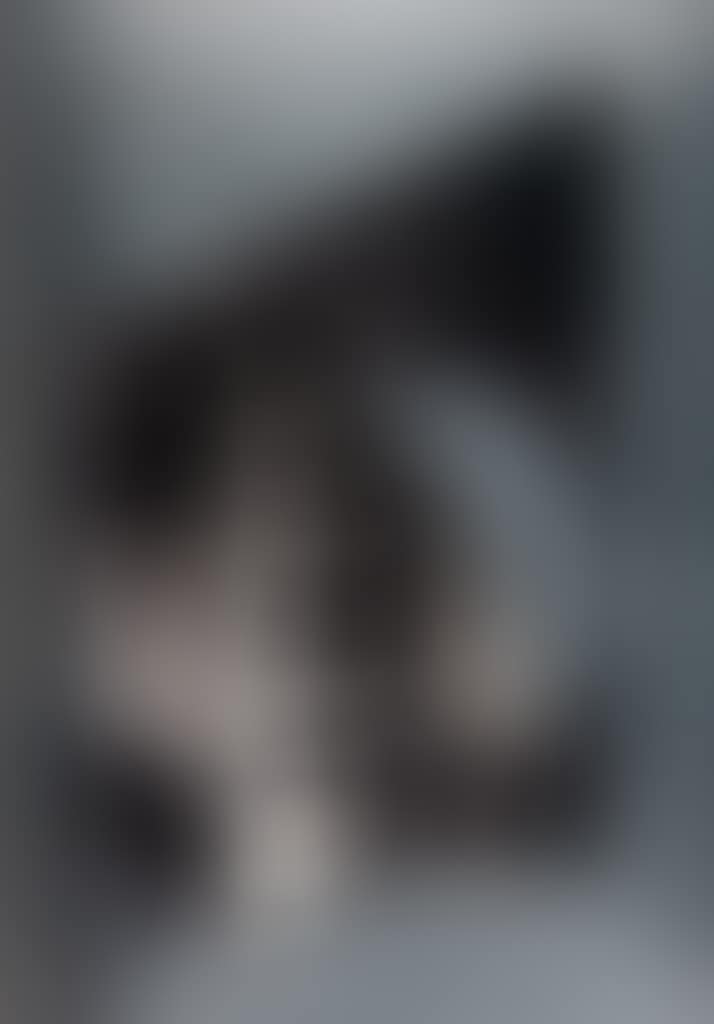 The Wind's Bastinado (preview)