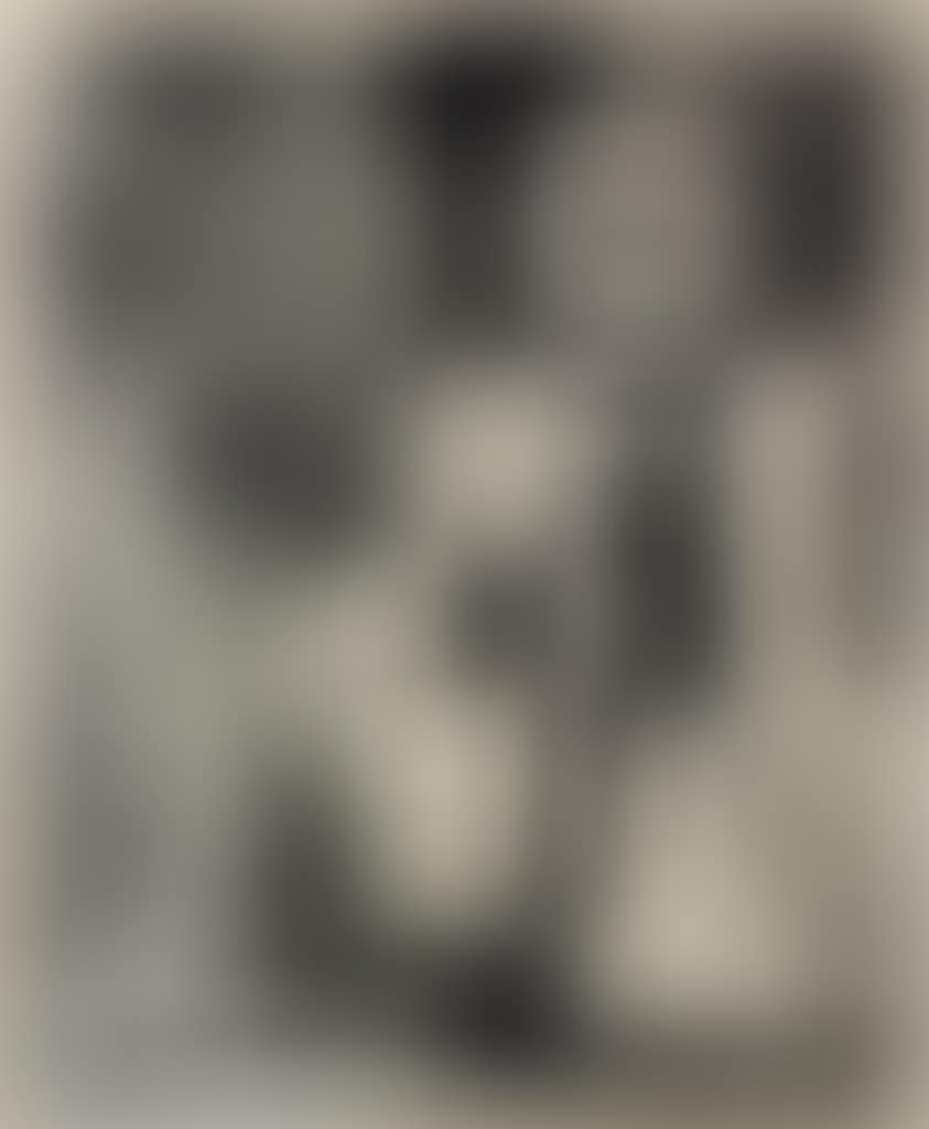 The Search (preview)