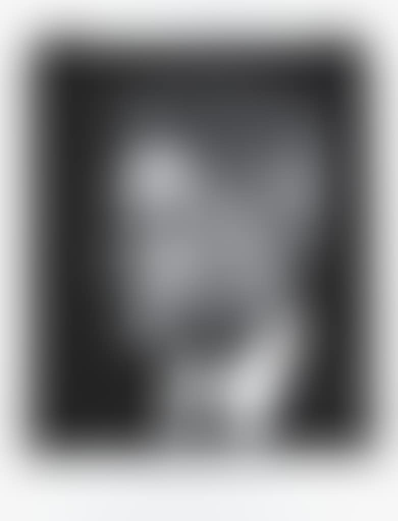 President (Clinton Profile) (preview)