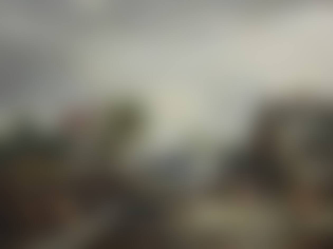 A country farm landscape (preview)