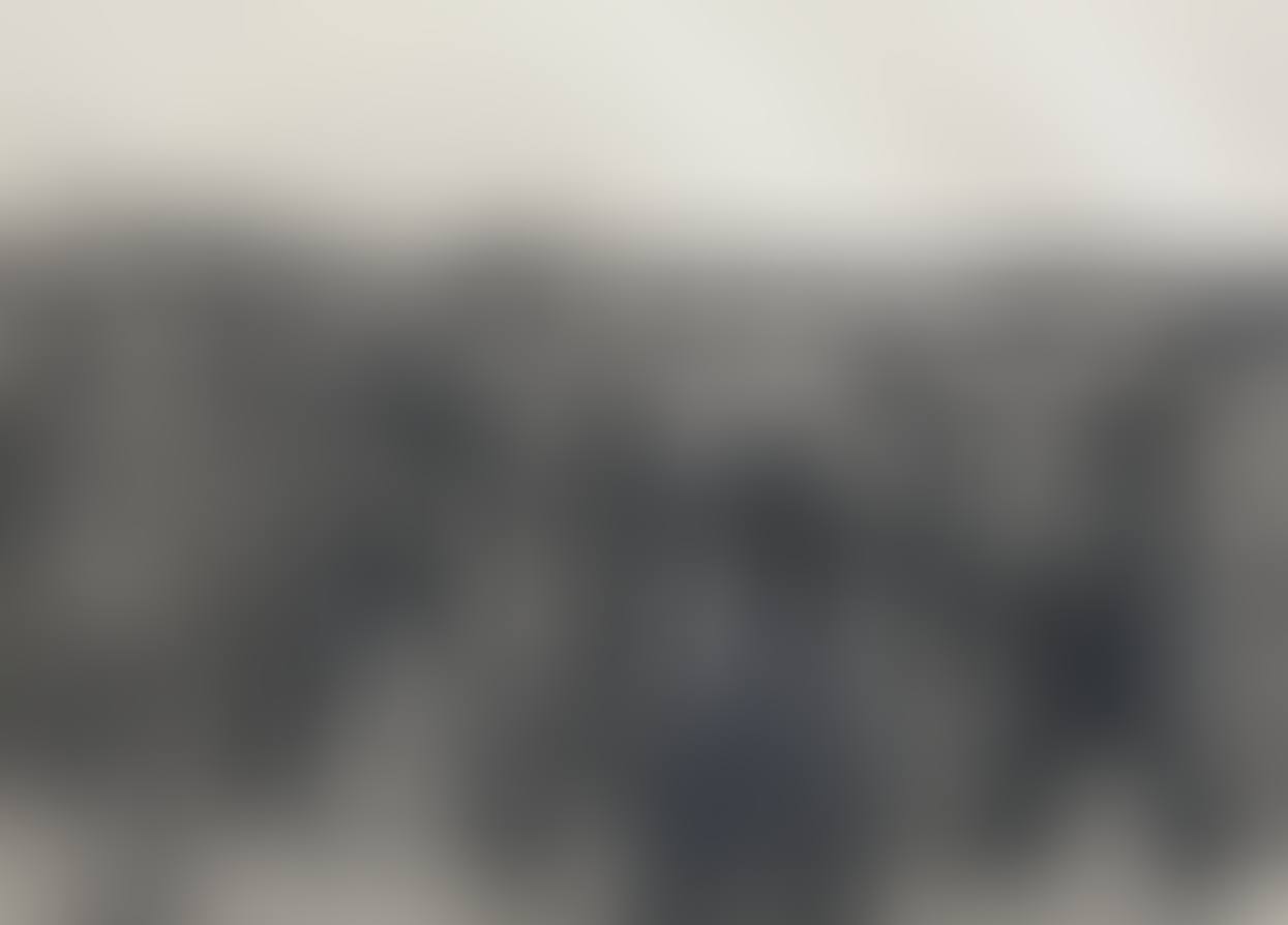 Weberzug (preview)