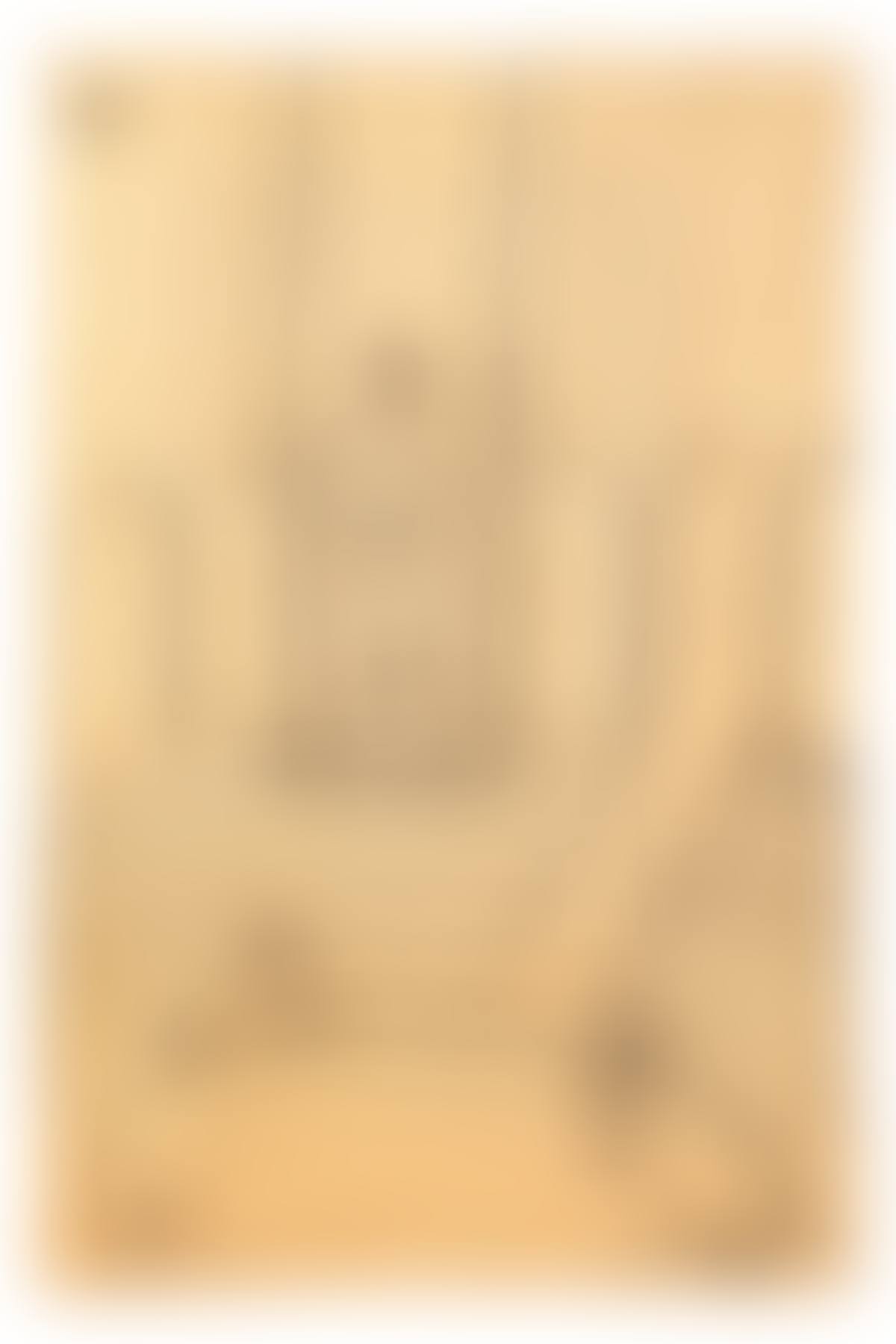 Circus (preview)