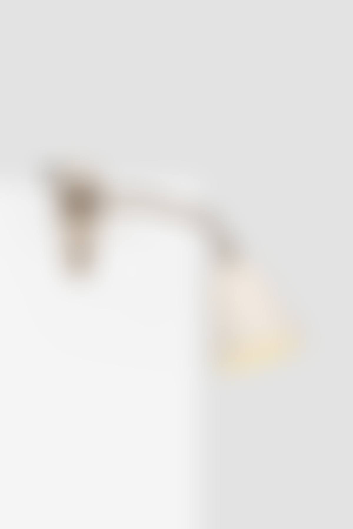Clamp lamp, model no. 5267 (preview)