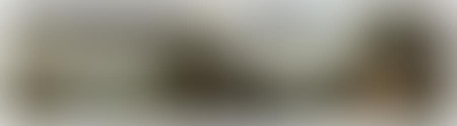 LAKE LANDSCAPE WITH WHITE SAIL. SMALL FARMHOUSE ON THE EDGE OF A LAKE (preview)