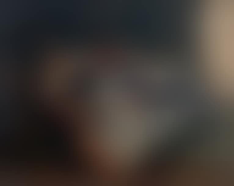 COURTESAN WITH A FAN. (preview)