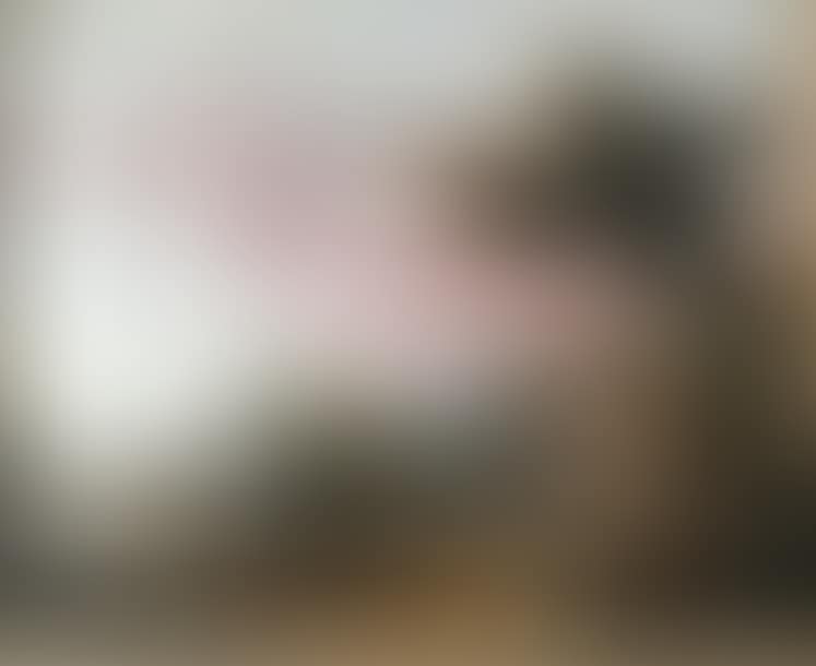 Animated landscape (preview)