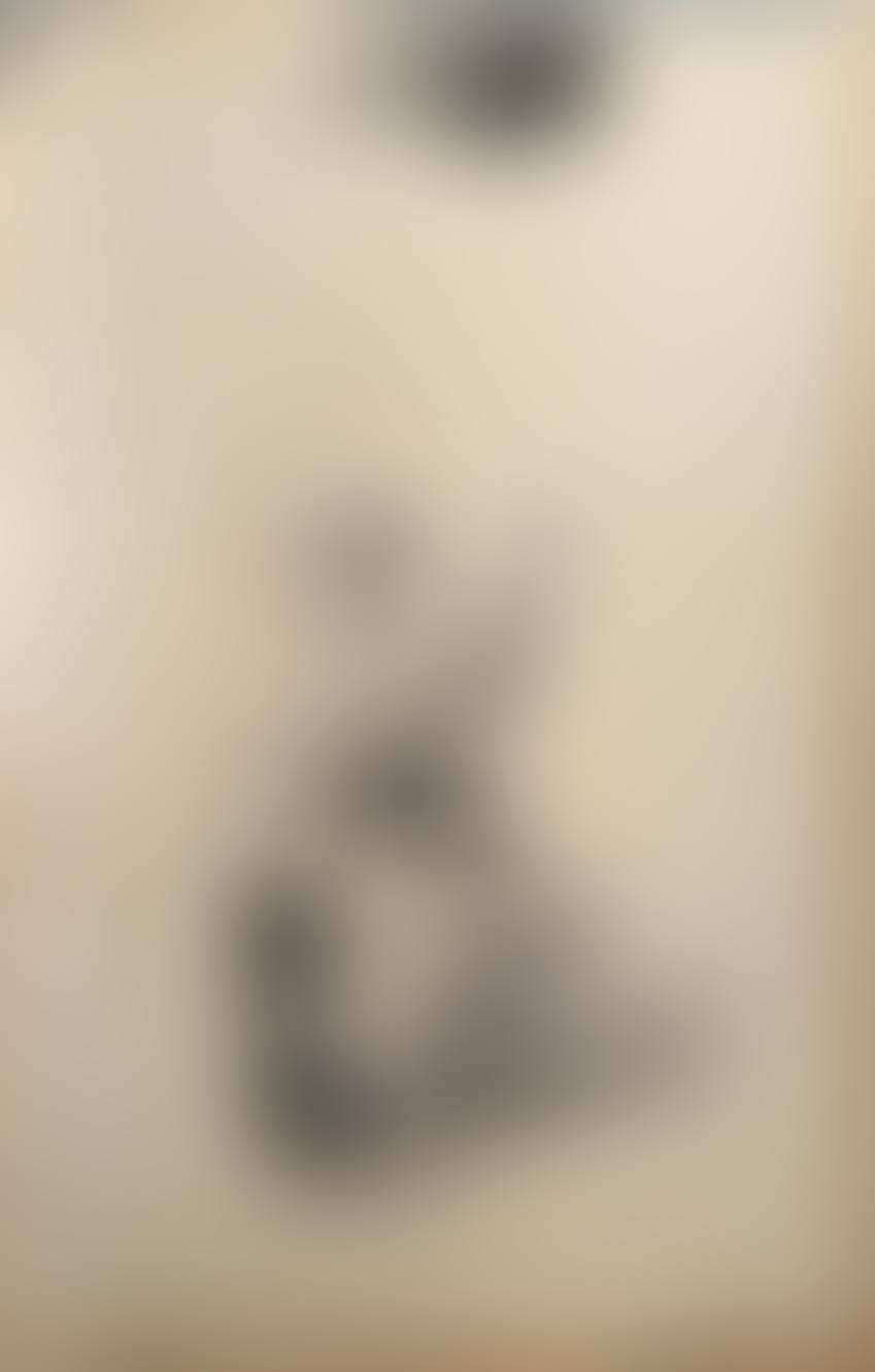 THE MANDOLIN PLAYER (preview)