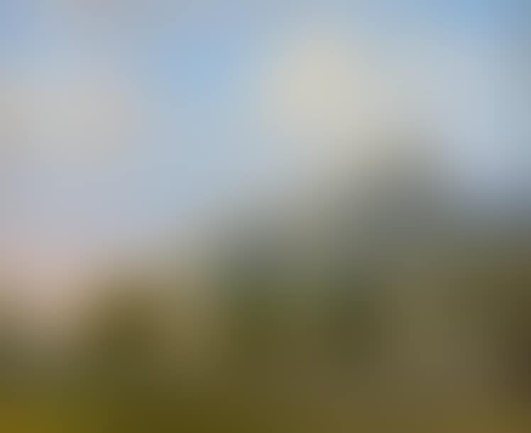 LANDSCAPE WITH A TEMPLE ON A PROMONTORY (preview)