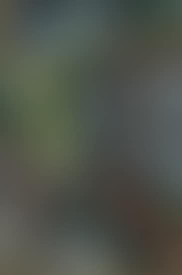 Wooded Landscape (preview)