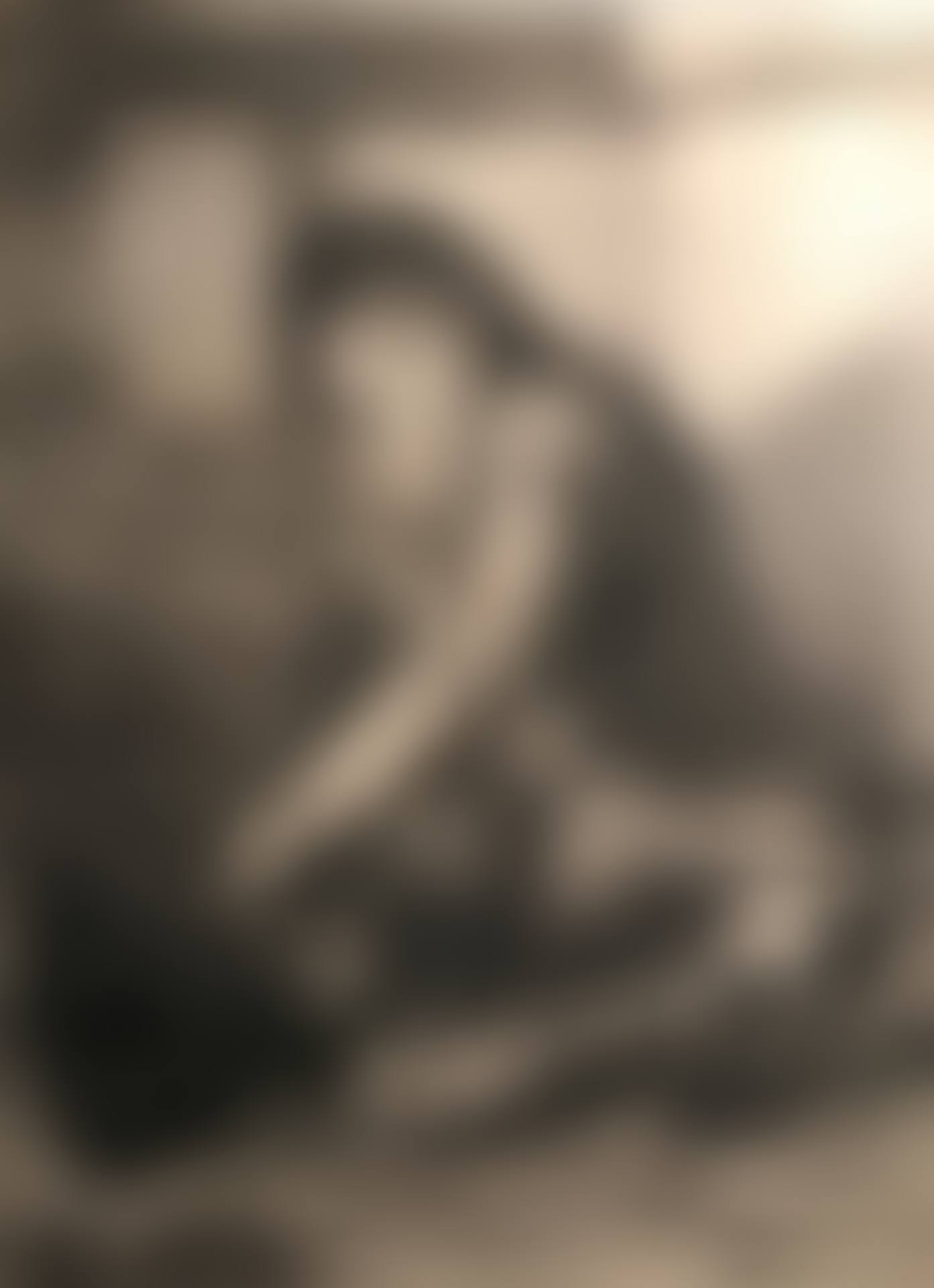 The young hurdy-girl player (preview)