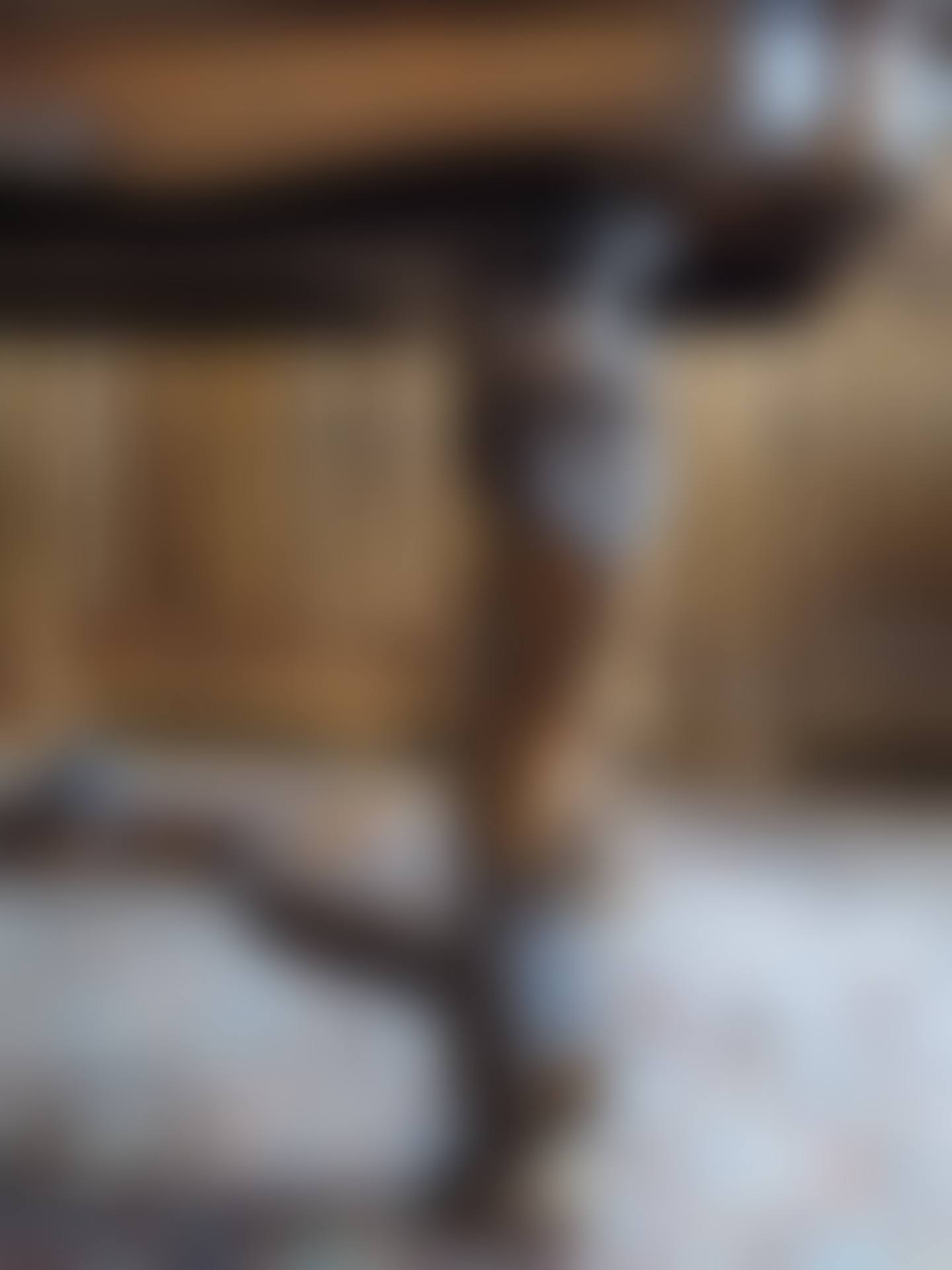 Large walnut table (preview)