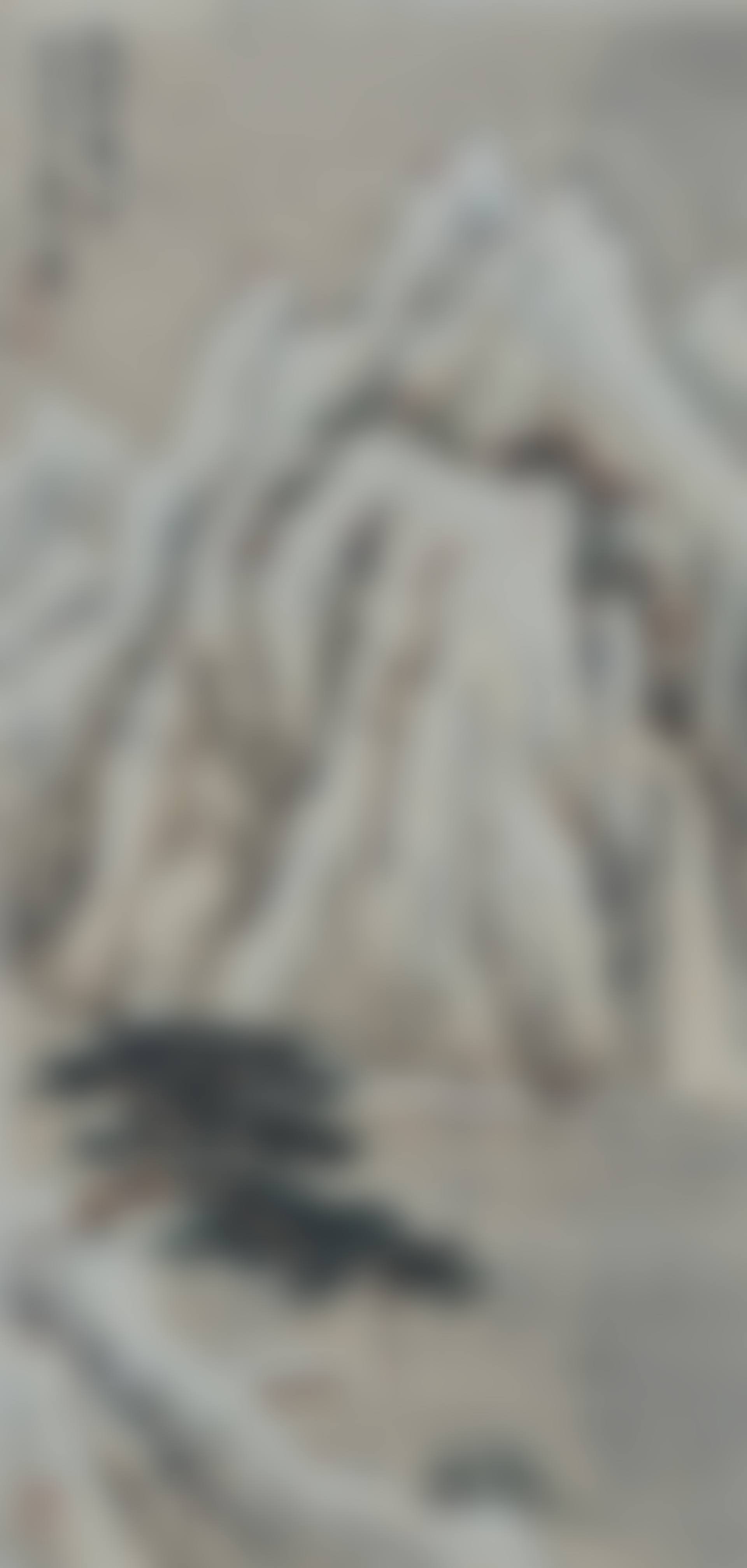 RETURNING BOAT IN THE SNOW (preview)