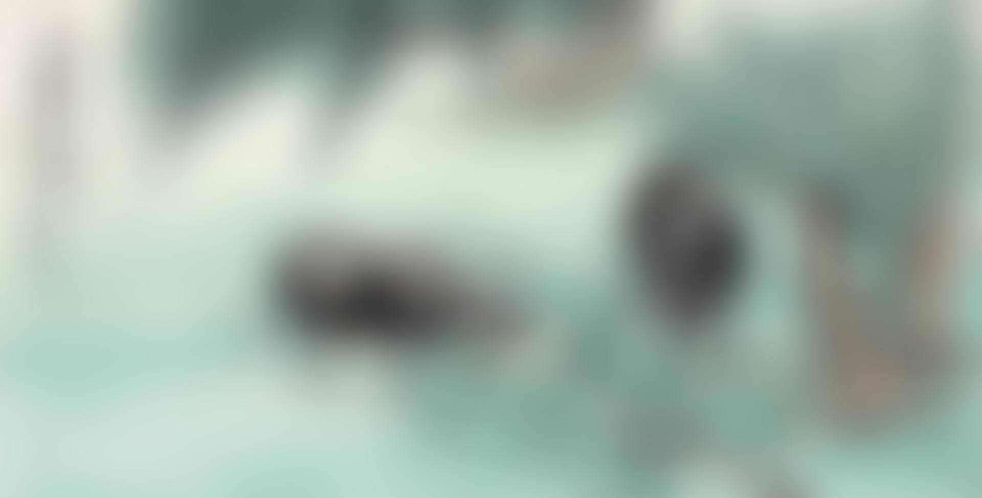 TWO BUFFALO UNDER THE WILLOW (preview)