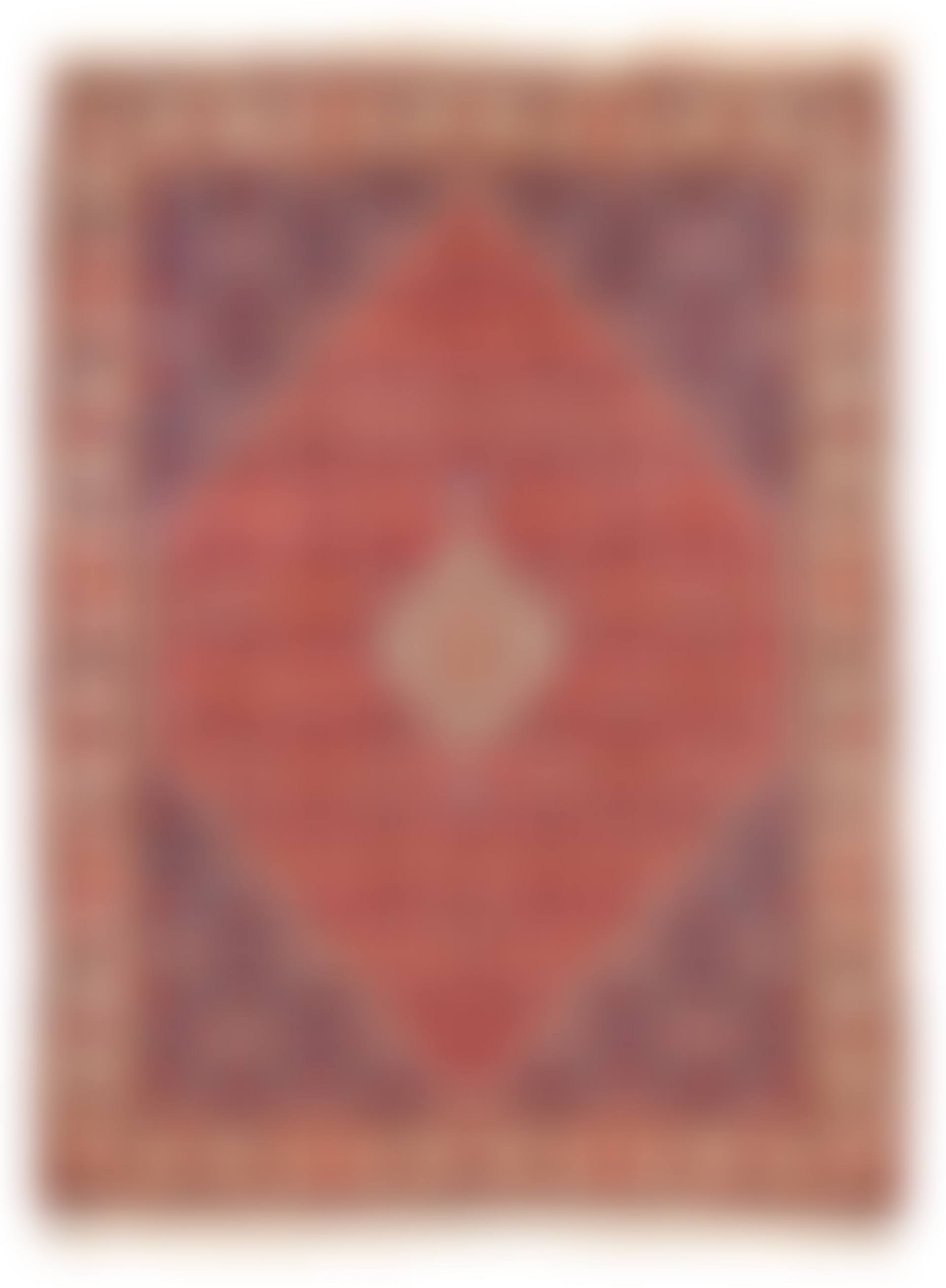 BIDJAR RUG (preview)