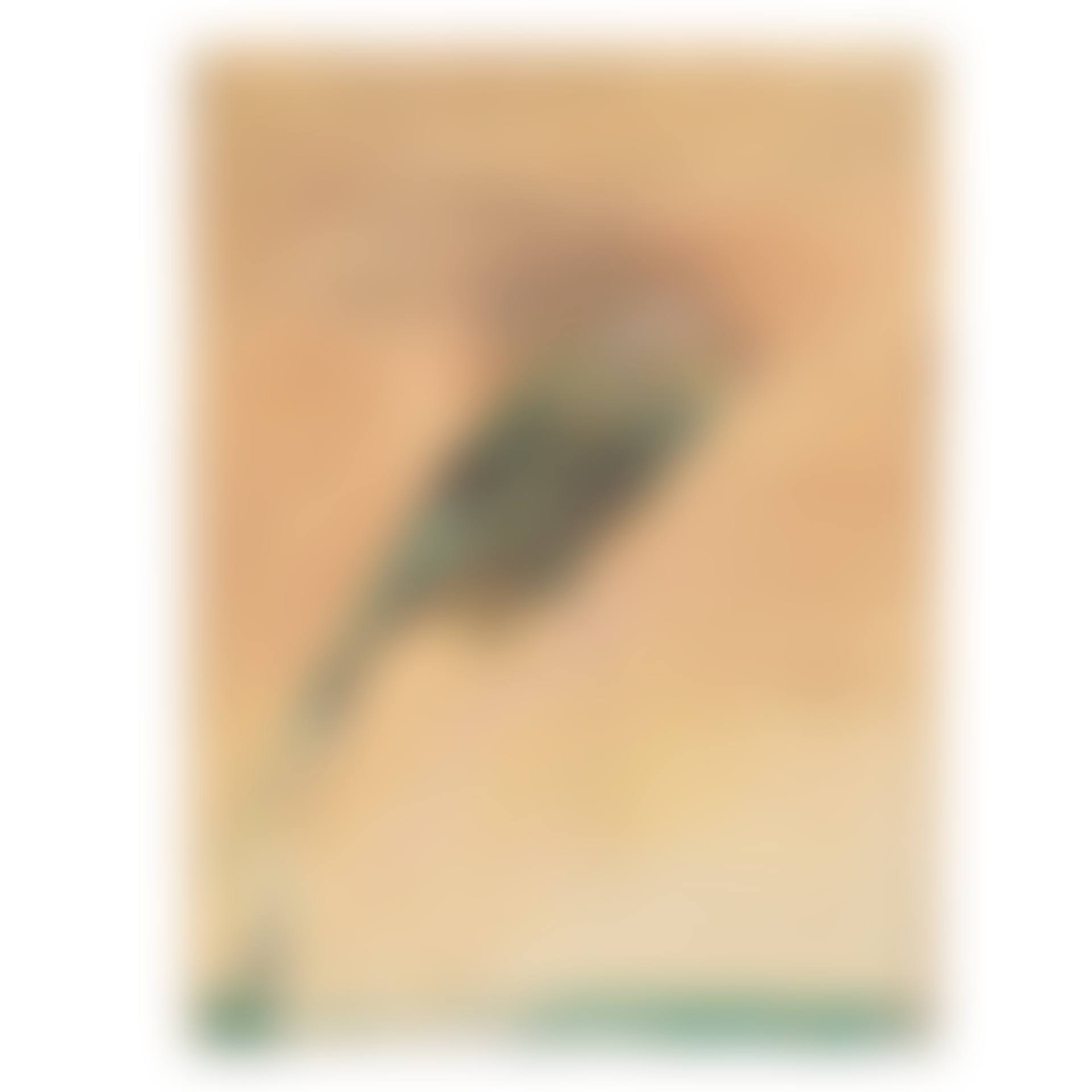 Kestrel (preview)