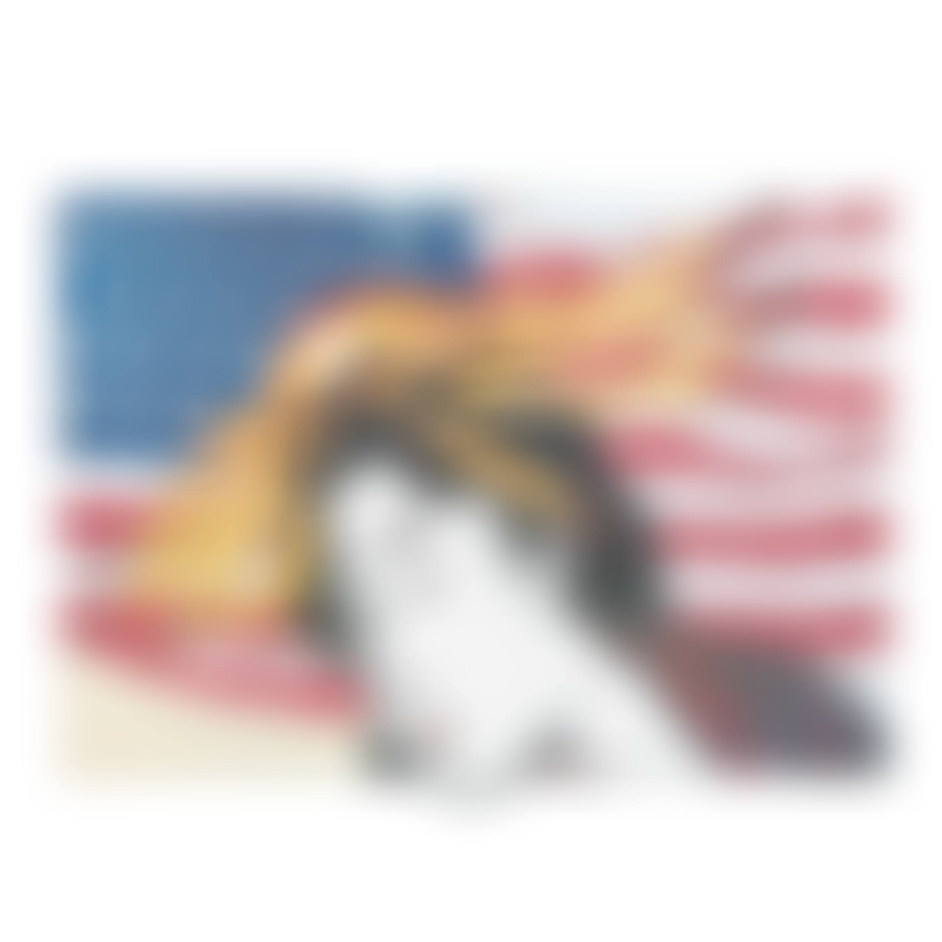 Madame Butterfly, from Metropolitan Opera Fine Art I (preview)